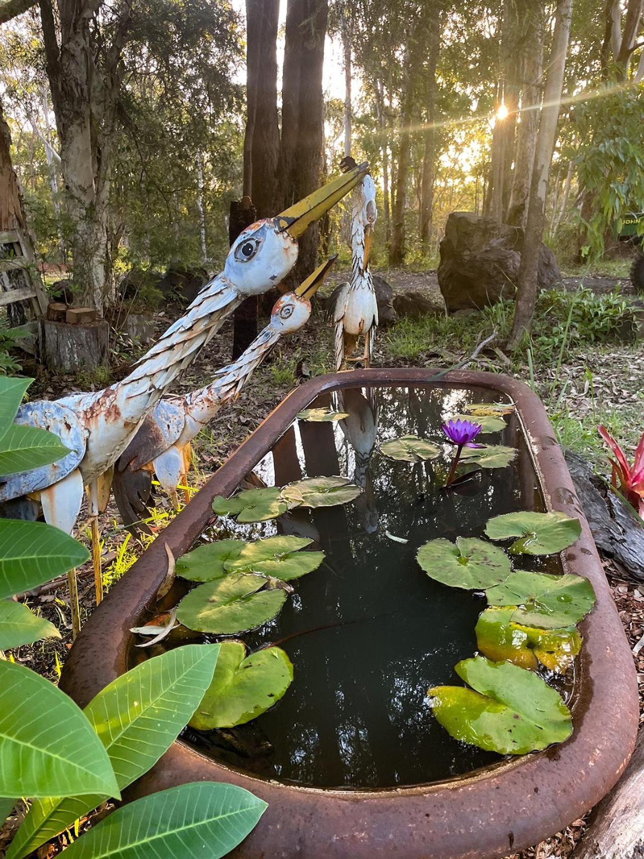 Bombah Point Eco Cottages Bulahdelah Buitenkant foto